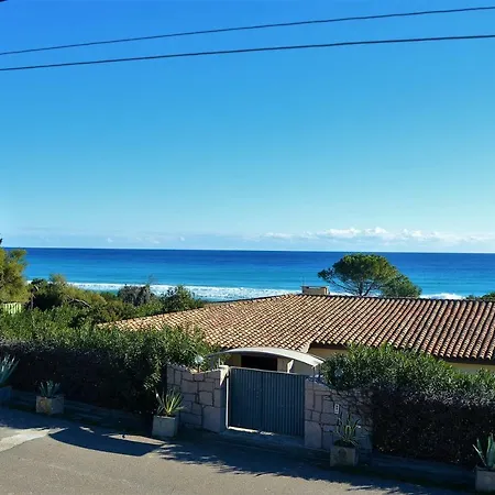 Ulivo 50 Mt Dal Mare