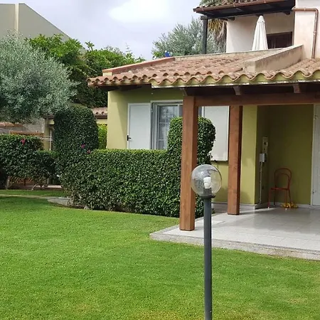 Ulivo 50 Mt Dal Mare