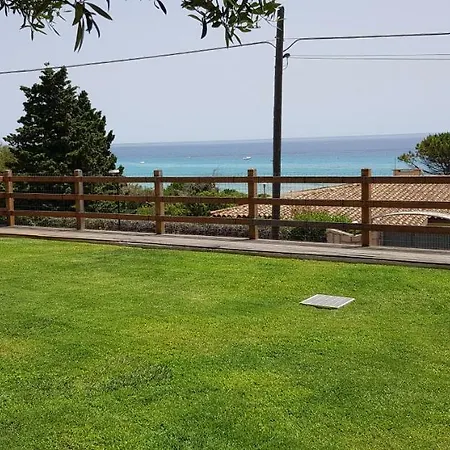 Ulivo 50 Mt Dal Mare Costa Rei