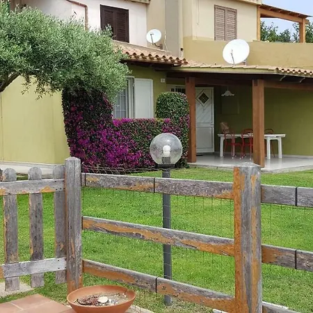 Ulivo 50 Mt Dal Mare