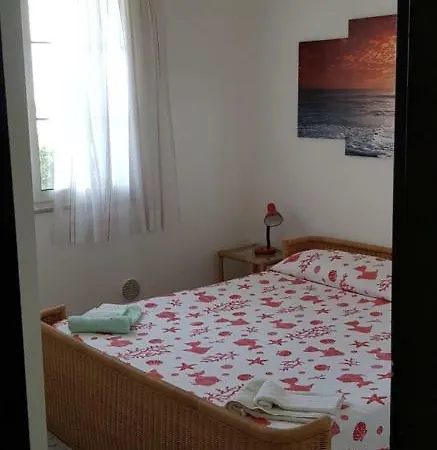 Ulivo 50 Mt Dal Mare