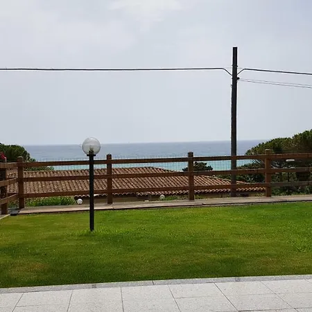Ulivo 50 Mt Dal Mare