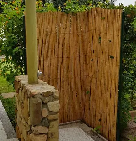 Ulivo 50 Mt Dal Mare Costa Rei